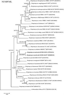 Streptomyces marincola sp. nov., a Novel Marine Actinomycete, and Its Biosynthetic Potential of Bioactive Natural Products